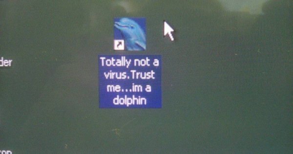 Totally not a virus.Trust me...im a dolphin